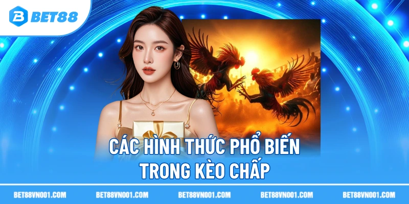 Kèo Chấp Đá Gà BET88- Hiểu Để Tăng Khả Năng Nắm Thế Chủ Động 3 Kèo Chấp Đá Gà BET88- Hiểu Để Tăng Khả Năng Nắm Thế Chủ Động Các hình thức phổ biến trong kèo chấp