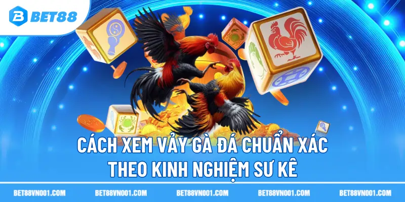Cách Xem Vảy Gà Đá Chuẩn Xác Theo Kinh Nghiệm Sư Kê Trên BET88 2 Cách Xem Vảy Gà Đá Chuẩn Xác Theo Kinh Nghiệm Sư Kê Trên BET88 cach xem vay ga da chuan xac theo kinh nghiem su ke Cách Xem Vảy Gà Đá Chuẩn Xác Theo Kinh Nghiệm Sư Kê Trên BET88