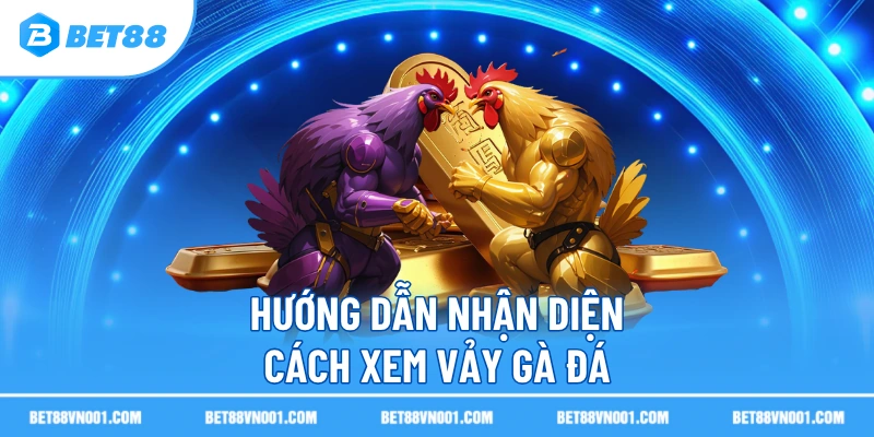 Cách Xem Vảy Gà Đá Chuẩn Xác Theo Kinh Nghiệm Sư Kê Trên BET88 2 Cách Xem Vảy Gà Đá Chuẩn Xác Theo Kinh Nghiệm Sư Kê Trên BET88 Hướng dẫn nhận diện cách xem vảy gà đá